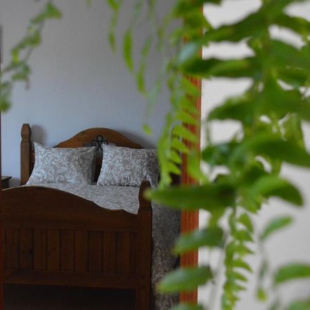 Casa Las Pardelas Icod De Los Vinos Kültér fotó